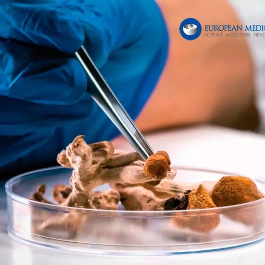 La Agencia Europea de Medicamentos explora el interés de los psicodélicos 