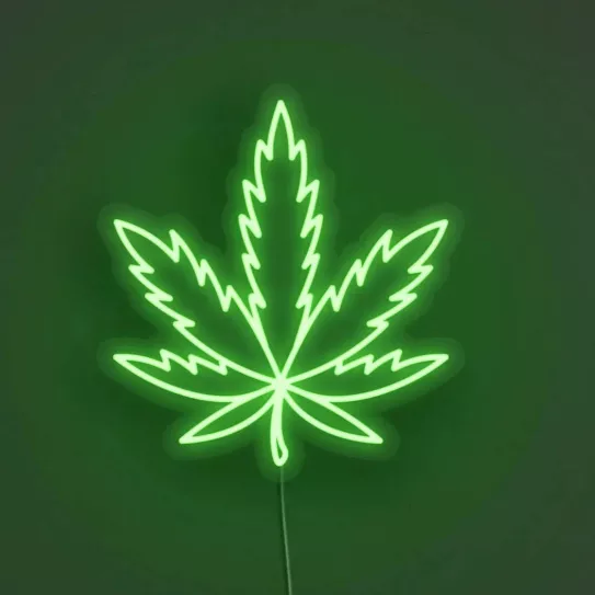 Problemas con los ledes en invierno