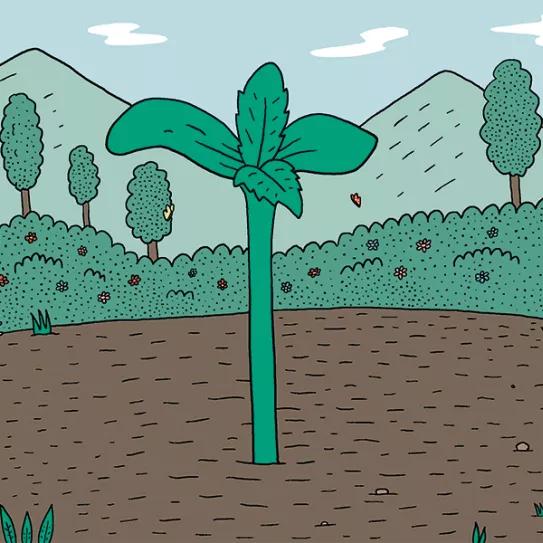 El inicio de la temporada: calendario de germinación para tener éxito