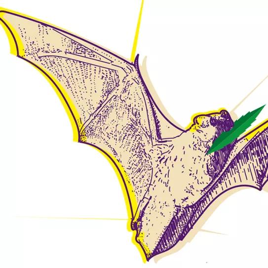 AUSTIN, TEXAS: ¿OASIS O VANGUARDIA?