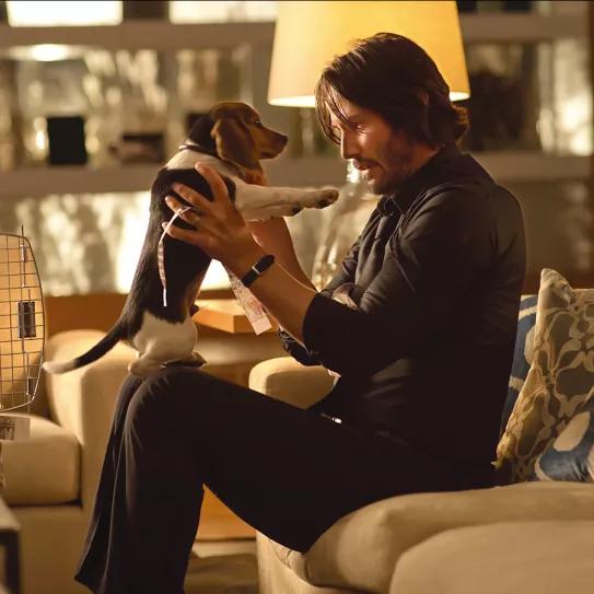John Wick: por el amor a un perro 