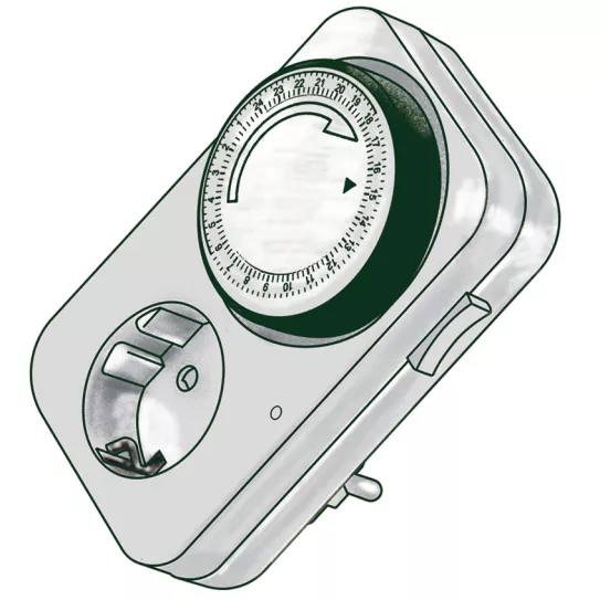 ¿Las plantas necesitan noches? 