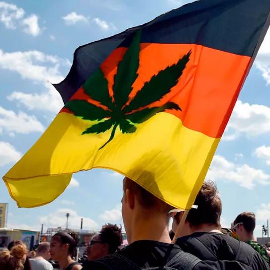 Alemania apunta a una legalización del cannabis basada en el autocultivo y los clubs
