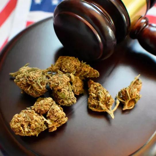 Delaware aprueba dos proyectos para legalizar el cannabis de uso adulto