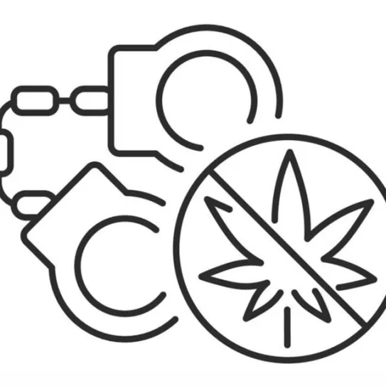 Agravantes en casos de cultivo o posesión