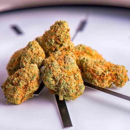 La regulación del cannabis en Colombia peligra por el retraso de su debate