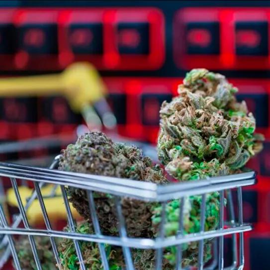 Los estadounidenses ya gastan más en cannabis legal que en chocolate o cerveza