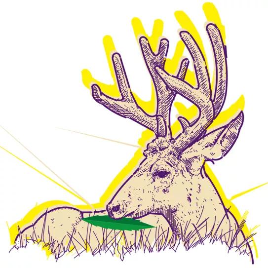 El fentanilo arrasa en Norteamérica Observatorio Oswaldo Pérez Cabrera