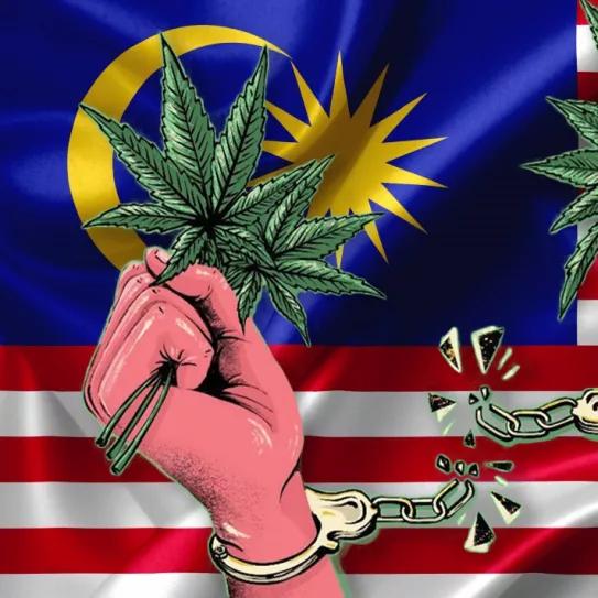 Malasia anuncia que despenalizará la posesión y el uso de drogas 