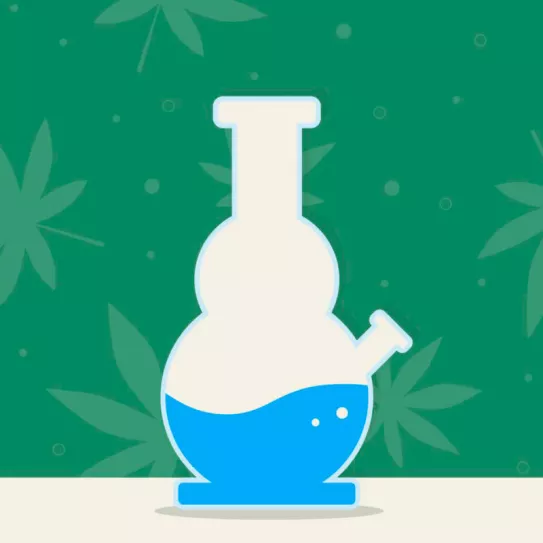 ¿Cómo se limpian los bongs?