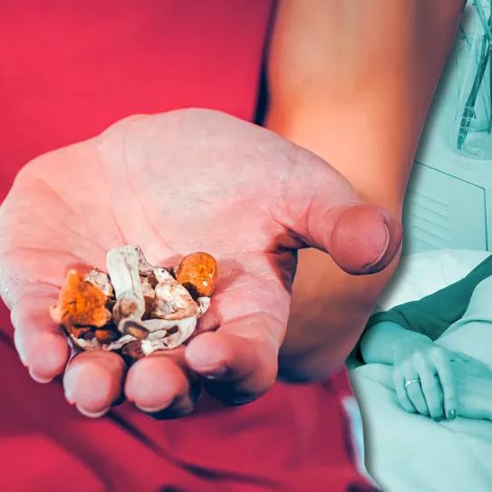 La terapia con psilocibina costará 2800 dólares en el primer centro legal de EE UU