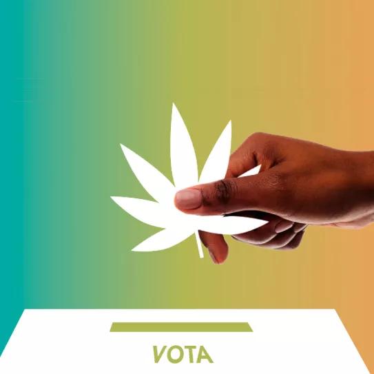 Qué partidos políticos apoyan la legalización del cannabis