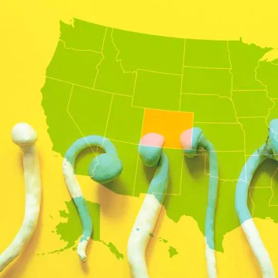 Colorado promulga la ley para regular el acceso a los hongos alucinógenos