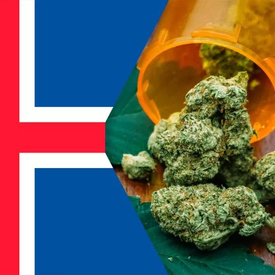 Islandia planea dar acceso al cannabis medicinal mediante un programa piloto 