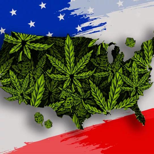 El fin de la prohibición de la marihuana en EE UU podría llegar este año 