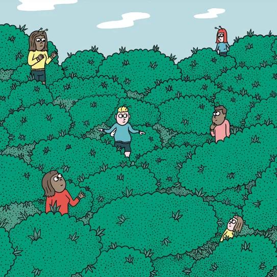 Aumento de la cosecha: diez trucos para crear plantas más productivas 