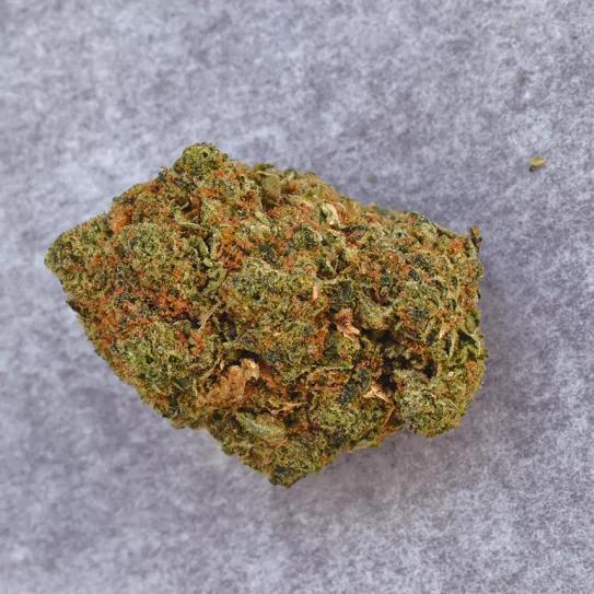 Un cogollo de cannabis con PGR que muestra los signos típicos: muy duro, poca resina, olor químico y color poco intenso. 