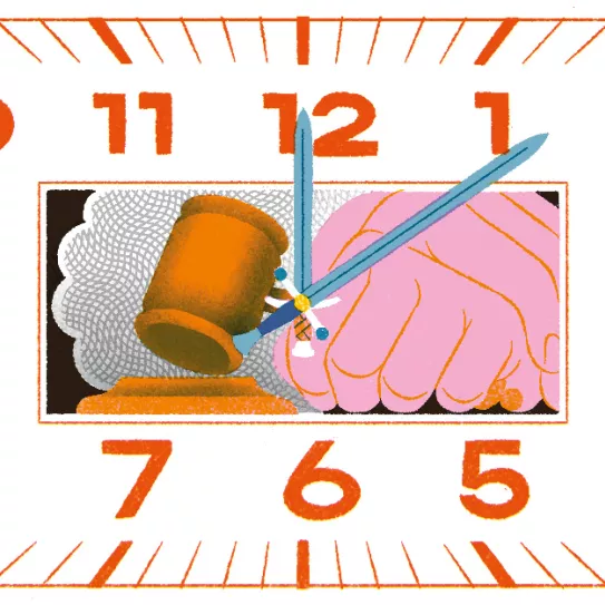 Plazo máximo de instrucción