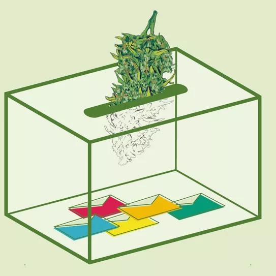 ¿Qué partidos políticos apoyan la regulación del cannabis?