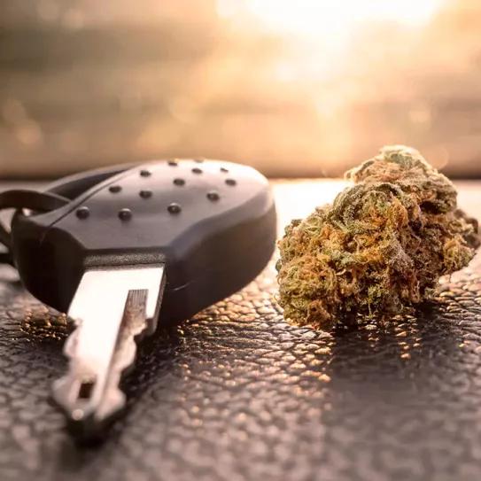 El ministro de Transporte alemán ajustará los niveles de THC prohibidos en carretera