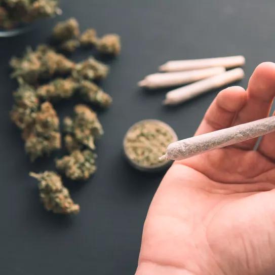 Un juez anula el cierre de un club de cannabis en Tarragona