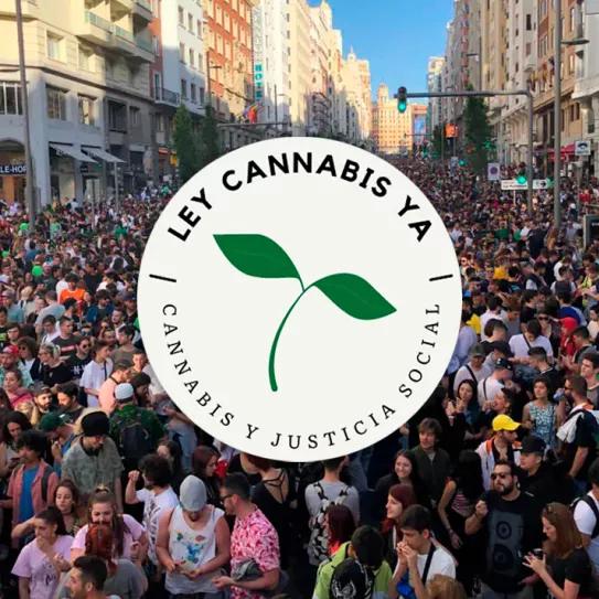 Lanzan la campaña #LeyCannabisYa para pedir la regulación del cannabis en España