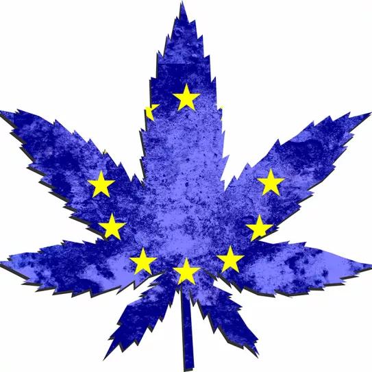Europarlamentarios piden a la Comisión Europea que deje vía libre para legalizar el cannabis