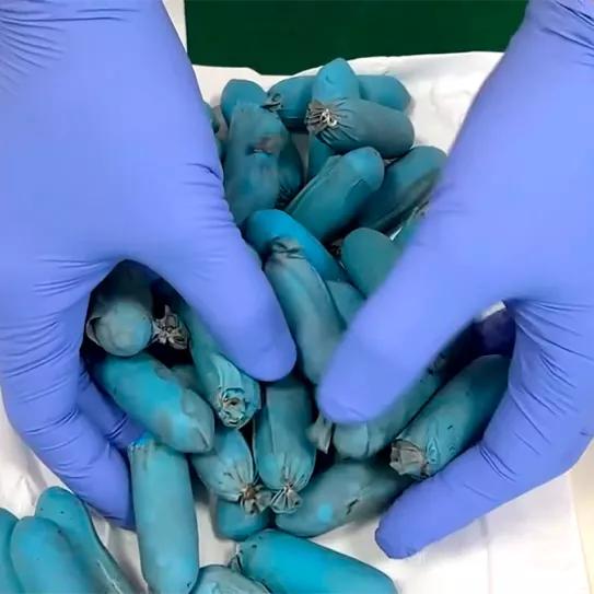 Detienen a dos hombres por la muerte de un joven que ingirió 1 kg de cocaína para introducirla en España