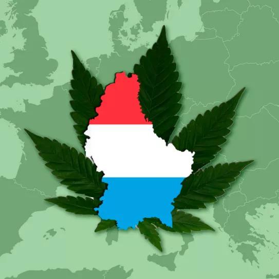 Luxemburgo estrena hoy su legalización del cannabis: ya pueden cultivar marihuana en casa