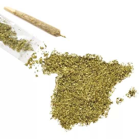 Repasamos lo ocurrido con el cannabis en España durante esta legislatura que acaba