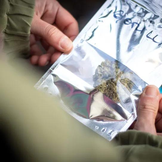 Uruguay: una década de cannabis legal