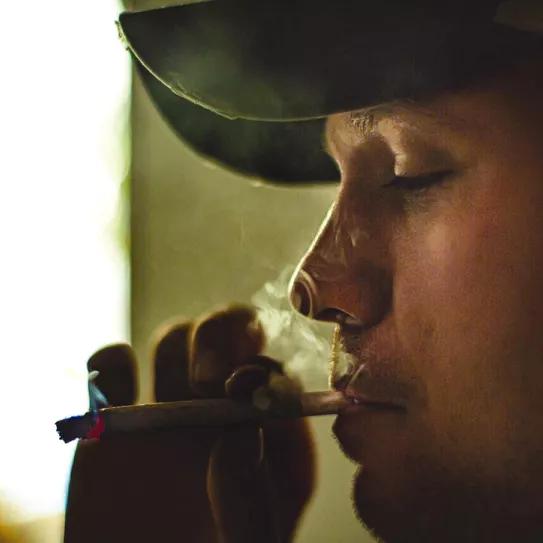 Un aliado contra la guerra: cannabis para superar el estrés postraumático