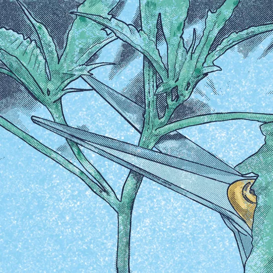 Control total de la altura 