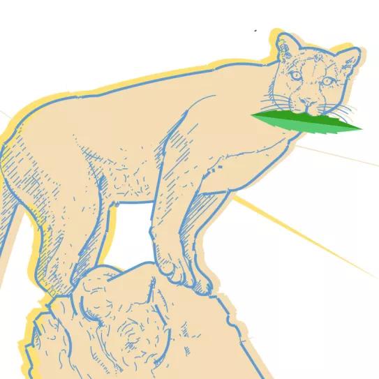 Observatorio Norteamericano  Oklahoma, mejor evitarlo 