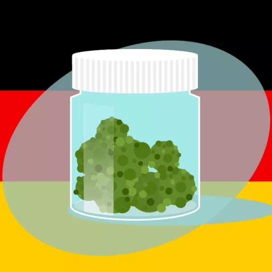 Alemania marca el camino Editorial Cáñamo 310