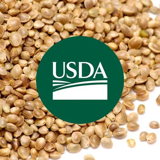 El Departamento de Agricultura de EE UU está creando un banco de semillas de cáñamo