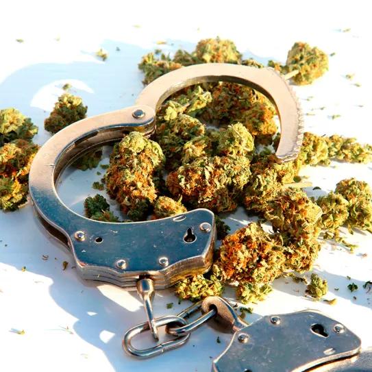 El Supremo brasileño sentencia que el olor a marihuana no justifica un registro domiciliario 