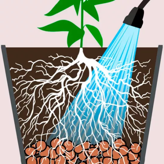 La tierra no absorbe el agua 