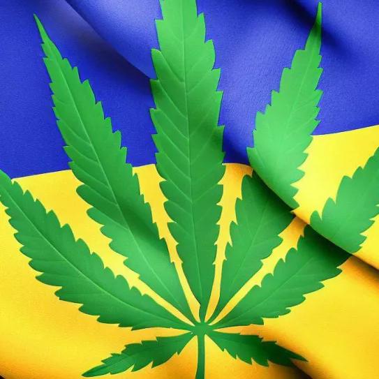 El Comité de Salud de Ucrania aprueba la ley del cannabis medicinal 
