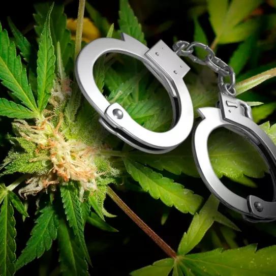 La policía británica arresta a usuarios de cannabis medicinal legal pese a tener receta