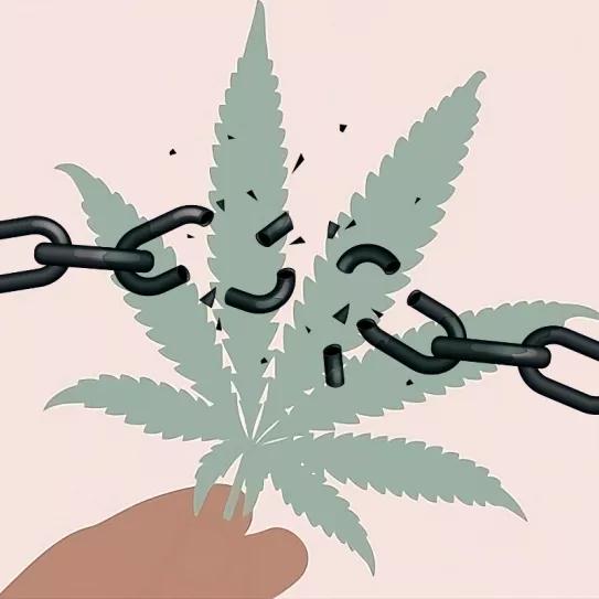 El fin de la tolerancia cero. Editorial Cáñamo #311