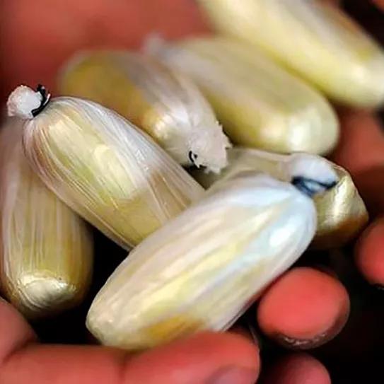 Le piden 22 años de cárcel por captar mujeres para que transportaran cocaína desde Perú 