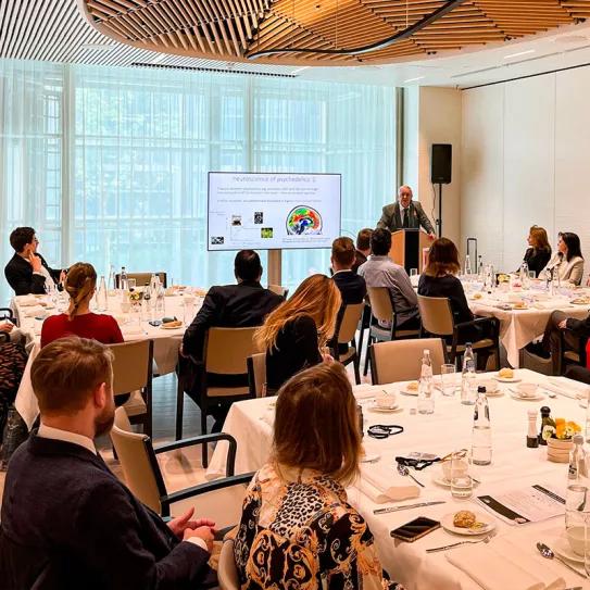 Los europarlamentarios por la regulación de los psicodélicos se reúnen por primera vez