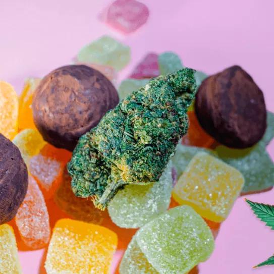 Piden que Canadá permita comestibles de cannabis de mayor potencia