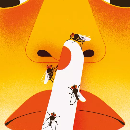 ¿Es perjudicial no declarar en un juicio?