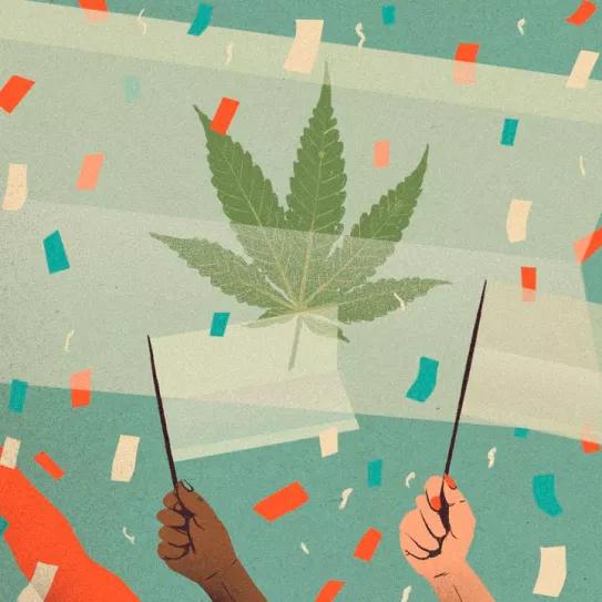 Es hora de regular - Editorial revista Cáñamo España 312