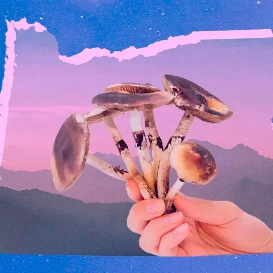 Los tratamientos legales con psilocibina de Oregón atraen a personas de todo EE UU 