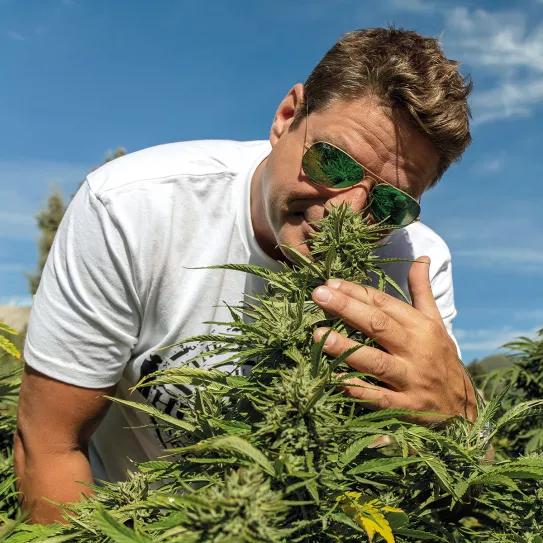 El sueño cumplido de Arjan Roskam. Cómo Green House desembarcó en Tailandia