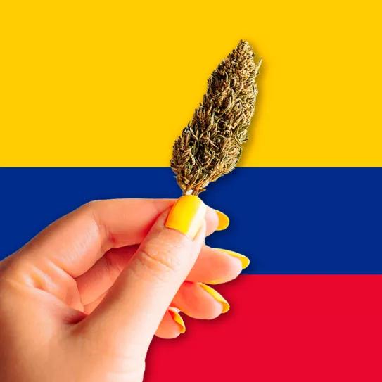 Colombia elimina las multas por posesión de drogas