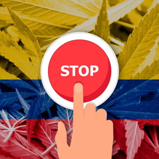 La regulación del cannabis en Colombia se hunde en el Senado
